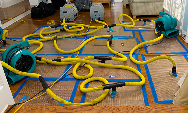 Professional Basement Flood Cleanup technician working in Wilmerding, PA